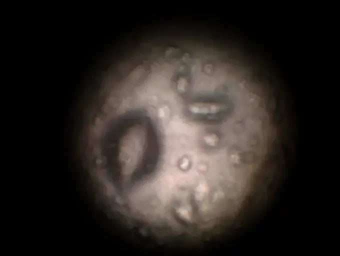 WhatsApp Image 2023-01-10 at 23.33.30.jpeg