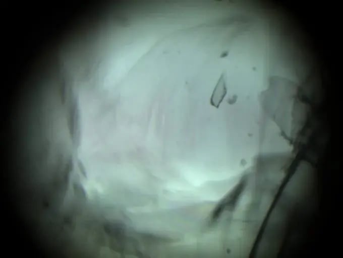 WhatsApp Image 2023-01-11 at 11.59.32.jpeg